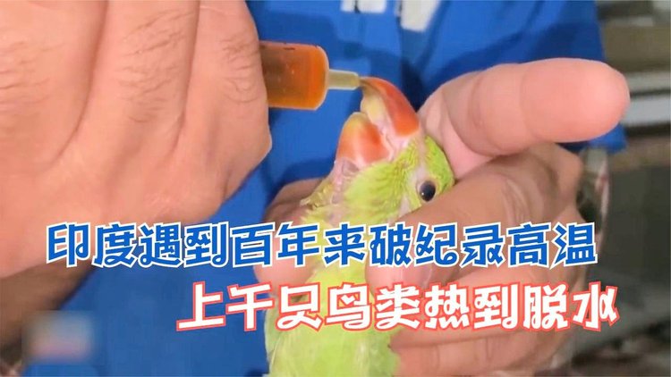 英格兰羽毛球队翻盘印度羽毛球队，戴资颖打破历史纪录的简单介绍