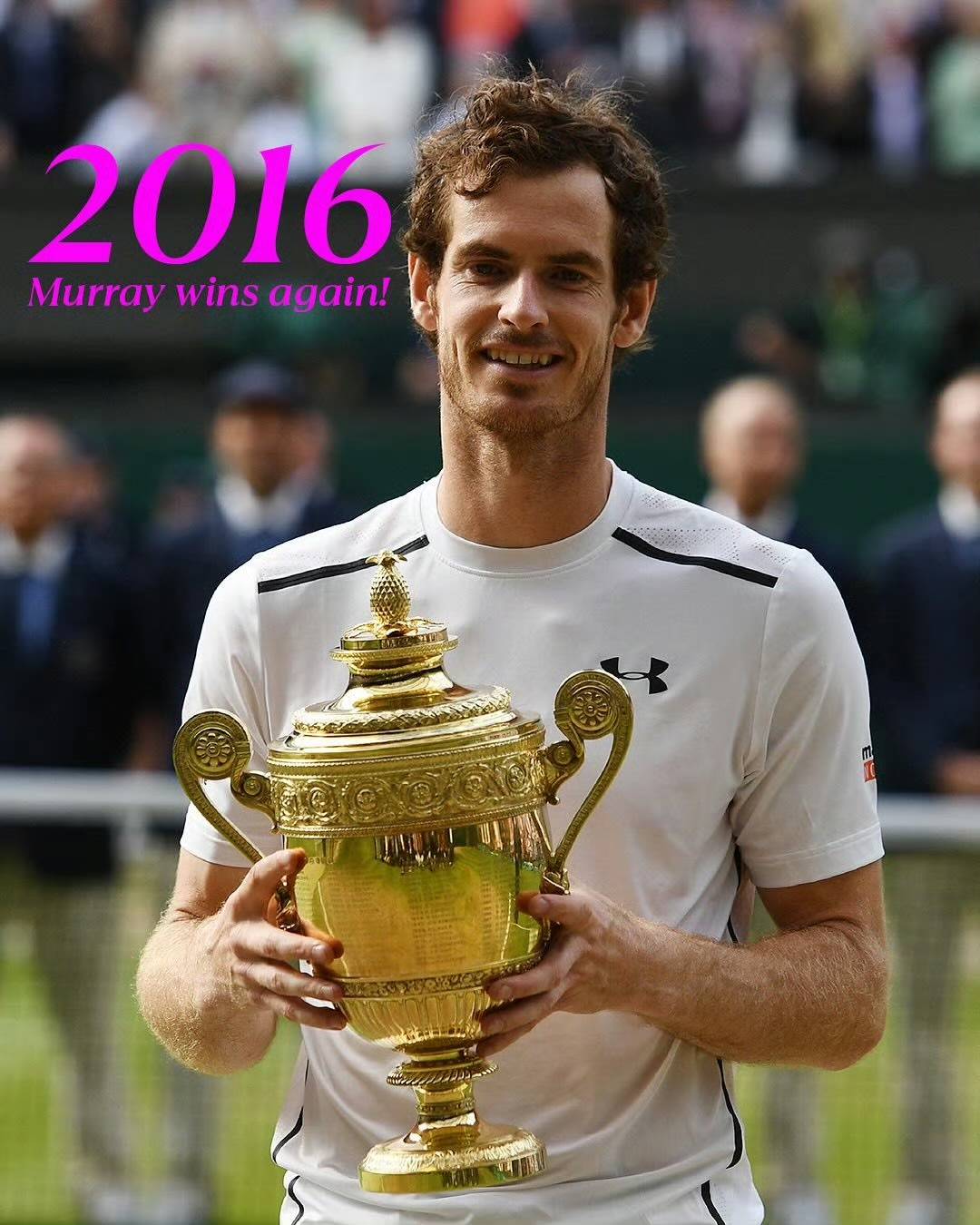 开云体育APP下载-戴维斯杯完胜澳网，穆雷刷新纪录